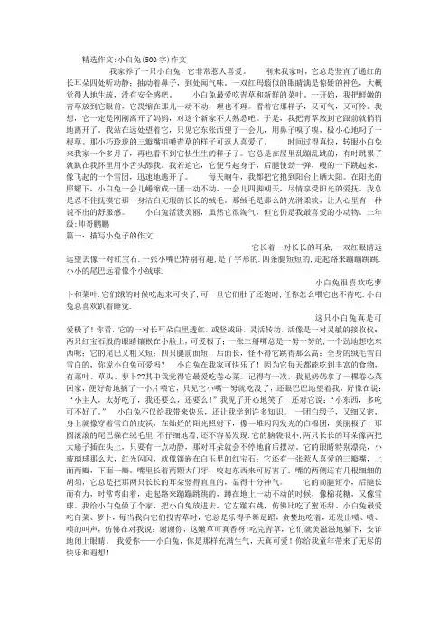小白兔(500字)作文
