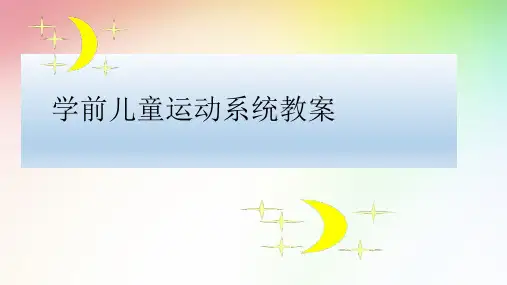 学前儿童运动系统教案ppt课件
