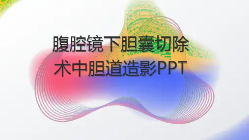 腹腔镜下胆囊切除术中胆道造影PPT