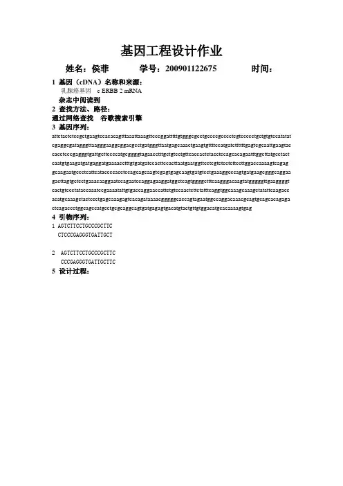 基因工程设计作业