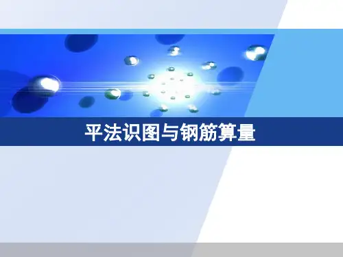 G平面识图与钢筋算量