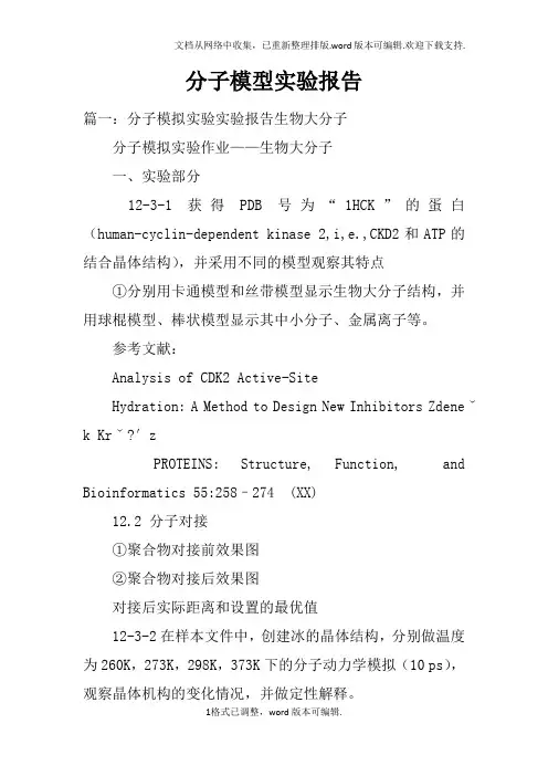 分子模型实验报告