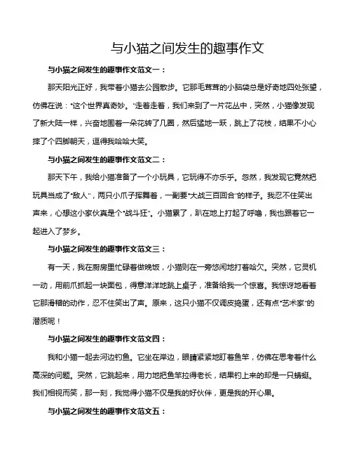 与小猫之间发生的趣事作文