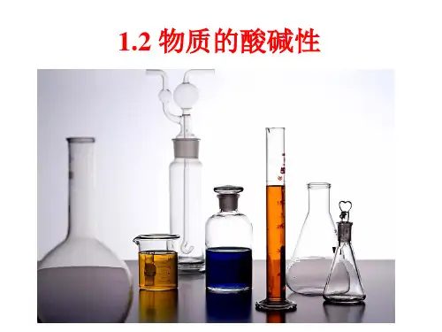 浙教版九年级科学上册1.2物质的酸碱性