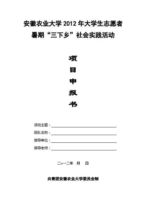 暑期三下乡项目申报书
