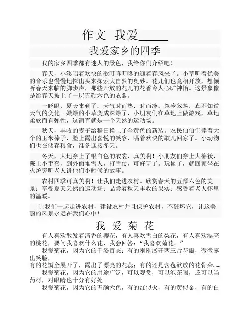 作文 我爱____