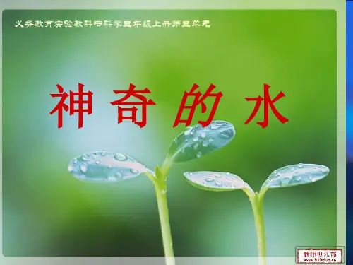 《神奇的水》PPT课件