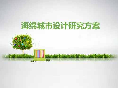 2017海绵城市建设实施方案-海绵城市设计方案