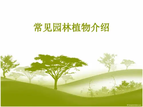 常见园林植物介绍PPT课件