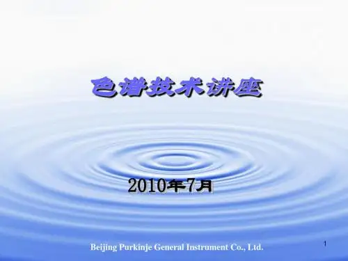 2010色谱技术讲座