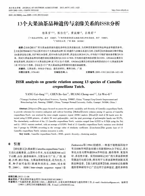 13个大果油茶品种遗传与亲缘关系的ISSR分析