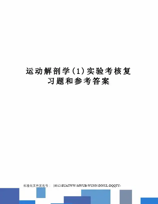 运动解剖学(1)实验考核复习题和参考答案