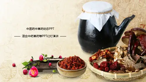 中医养生PPT模板中国风中药草药医学医疗医院医生传统文化课件ppt (121)