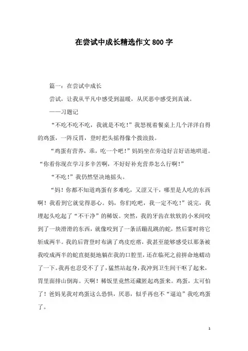 在尝试中成长精选作文800字