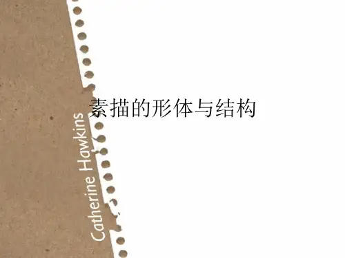 素描的形体与结构课件