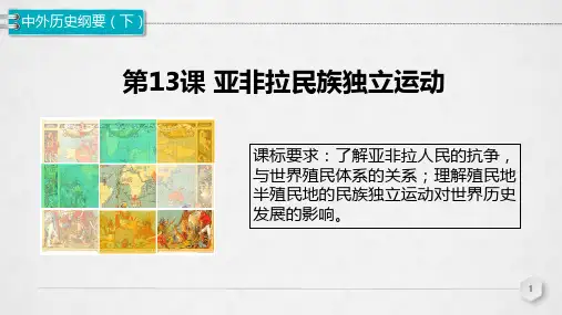 高中统编版历史《亚非拉民族独立运动》ppt3