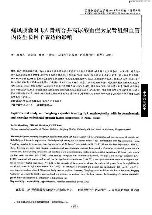 痛风胶囊对IgA肾病合并高尿酸血症大鼠肾组织血管内皮生长因子表达的影响