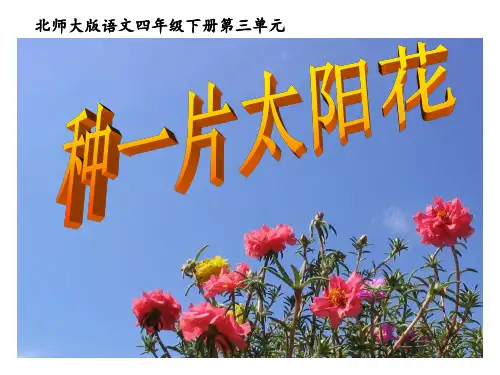《种一片太阳花-》PPT课件