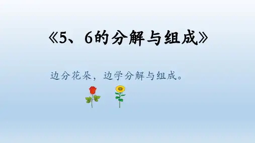 幼儿园大班-5、6的分解与组成