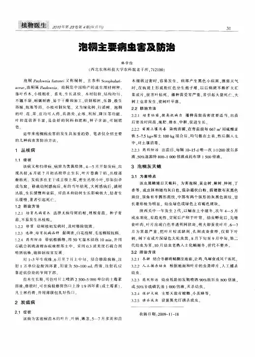 泡桐主要病虫害及防治