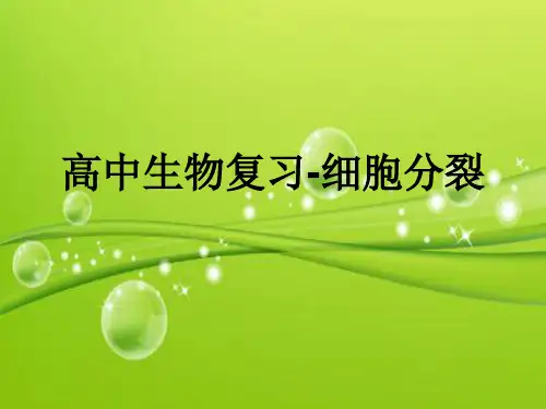 一轮复习：有丝分裂和减数分裂(实用) PPT