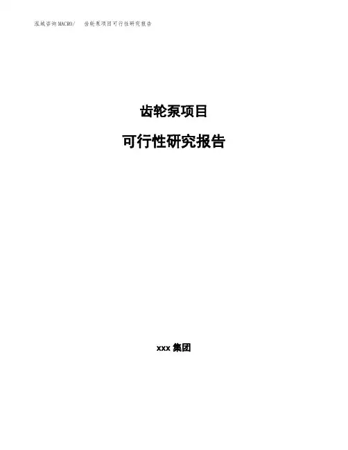 齿轮泵项目可行性研究报告(参考模板范文)