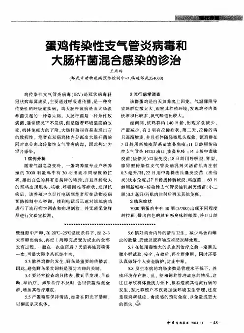 蛋鸡传染性支气管炎病毒和大肠杆菌混合感染的诊治