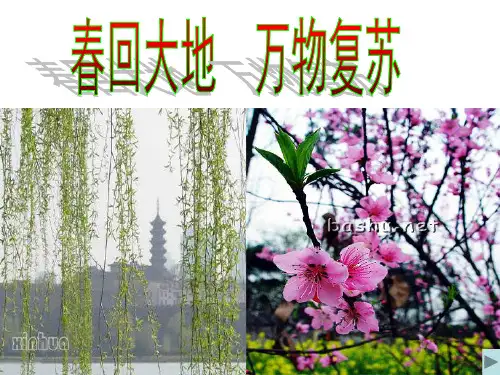《春雨的色彩》(人教版新课标小学一年级下册语文)PPT课件