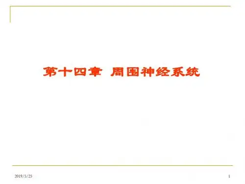 泌尿生殖系统