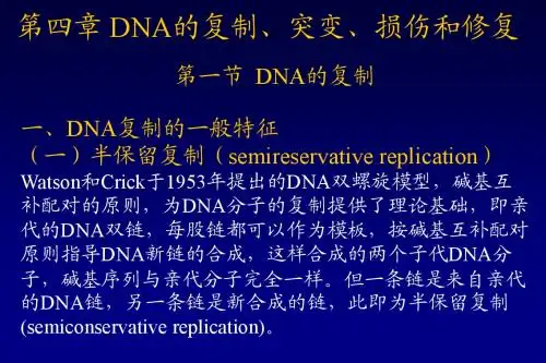 5-DNA 复制、突变、修复
