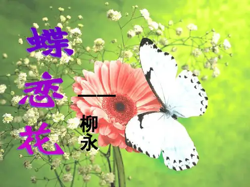 高中语文蝶恋花课件苏教必修4