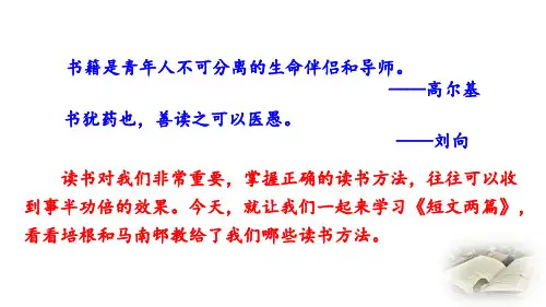 部编版语文九年级下册 13 短文两篇