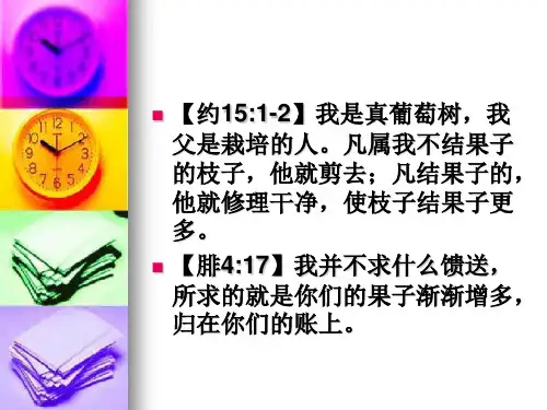 我是结果子的枝子解析