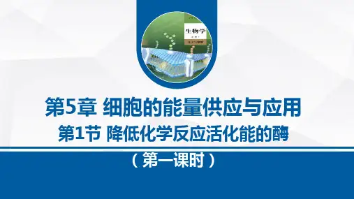 5.1降低化学反应活化能的酶第1课时课件 高一上学期生物人教版必修1