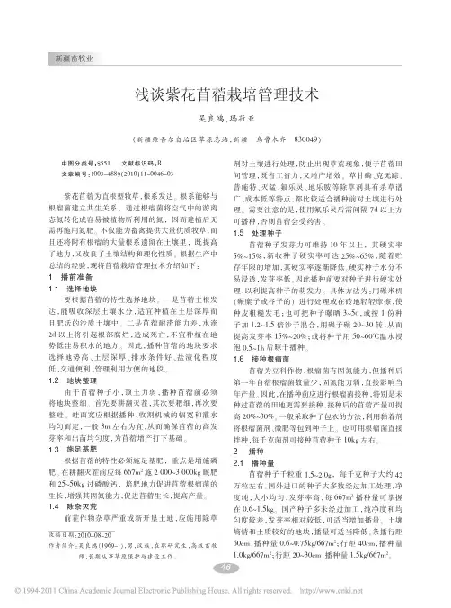浅谈紫花苜蓿栽培管理技术