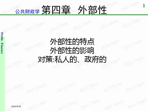 财政学2外部性(电商)