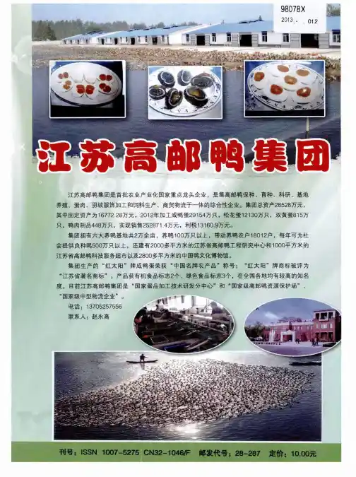 江苏高邮鸭集团
