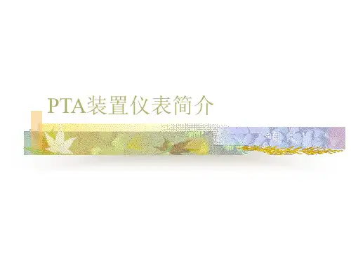 PTA过程仪表