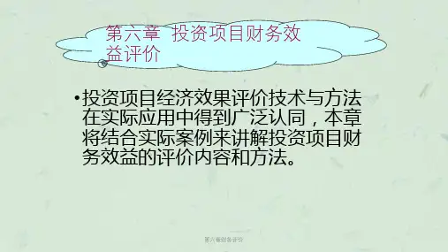 第六章财务评价课件
