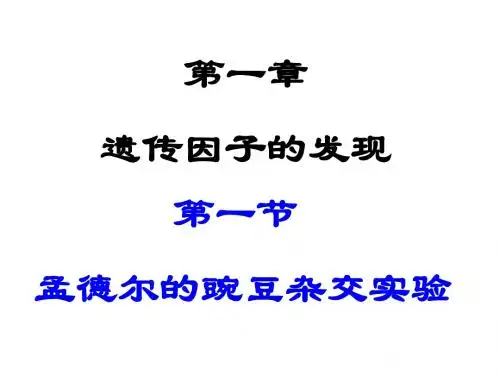 人教版教学课件一轮复习：孟德尔的豌豆杂交实验