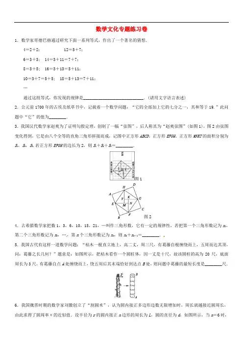 中考数学复习专题过关试卷：数学文化专题(无答案)