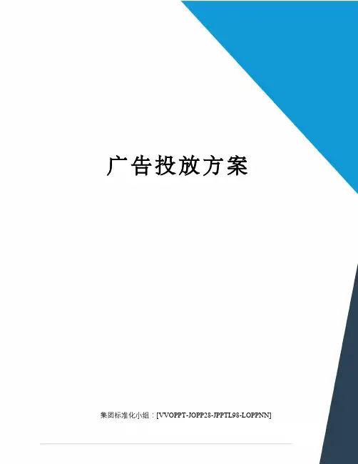 广告投放方案 2