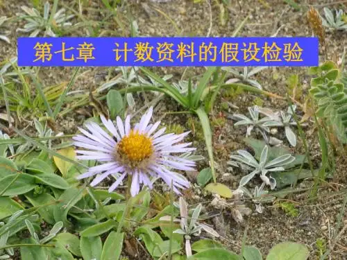 w7计数资料的假设检验