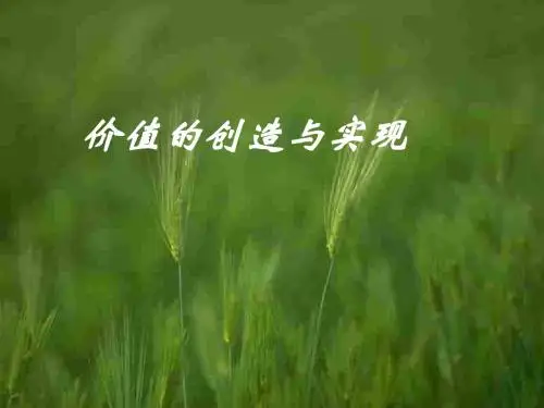 价值的创造与实现PPT