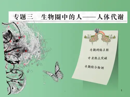 中考生物学业水平考试专题复习 专题三生物圈中的人——人体代谢课件