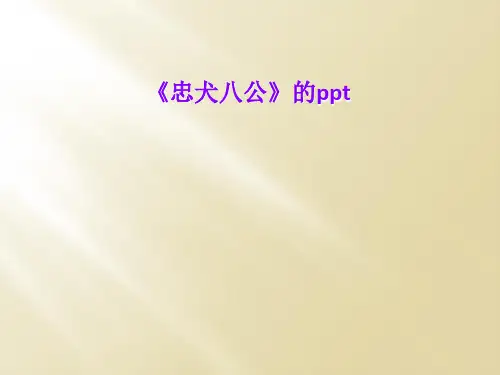 《忠犬八公》的ppt