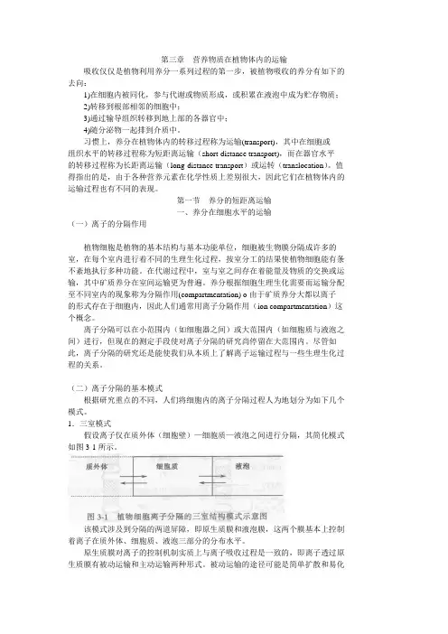 第三章营养物质在植物体内的运输