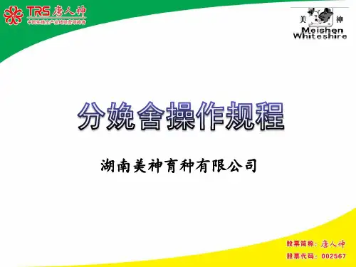 分娩舍操作规程