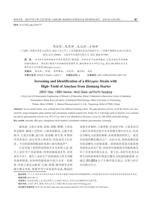甜酒曲中一株高产淀粉酶根霉的筛选与鉴定