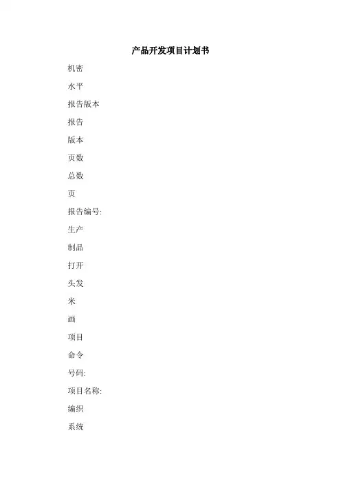 产品开发项目计划书